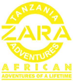 Zara Tours