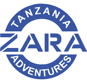 Zara Tours