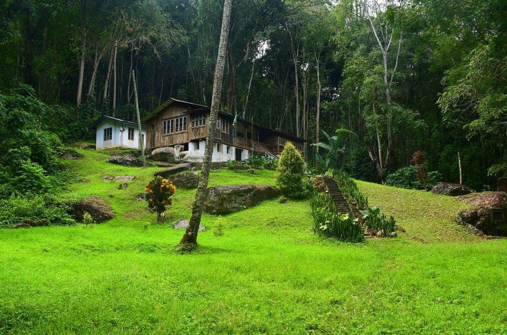 Tanzania safari holidays