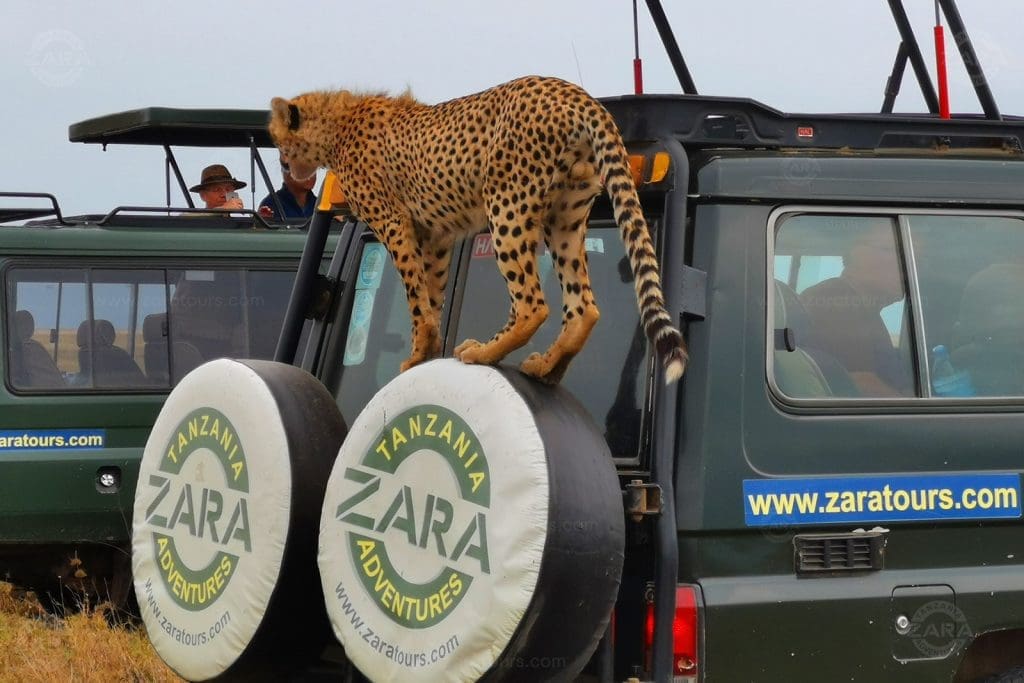 Ngorongoro Crater