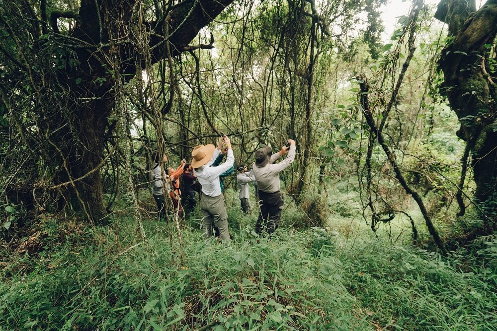 Transfer to Bwindi National Park- Nature walk and relaxation around your hotel