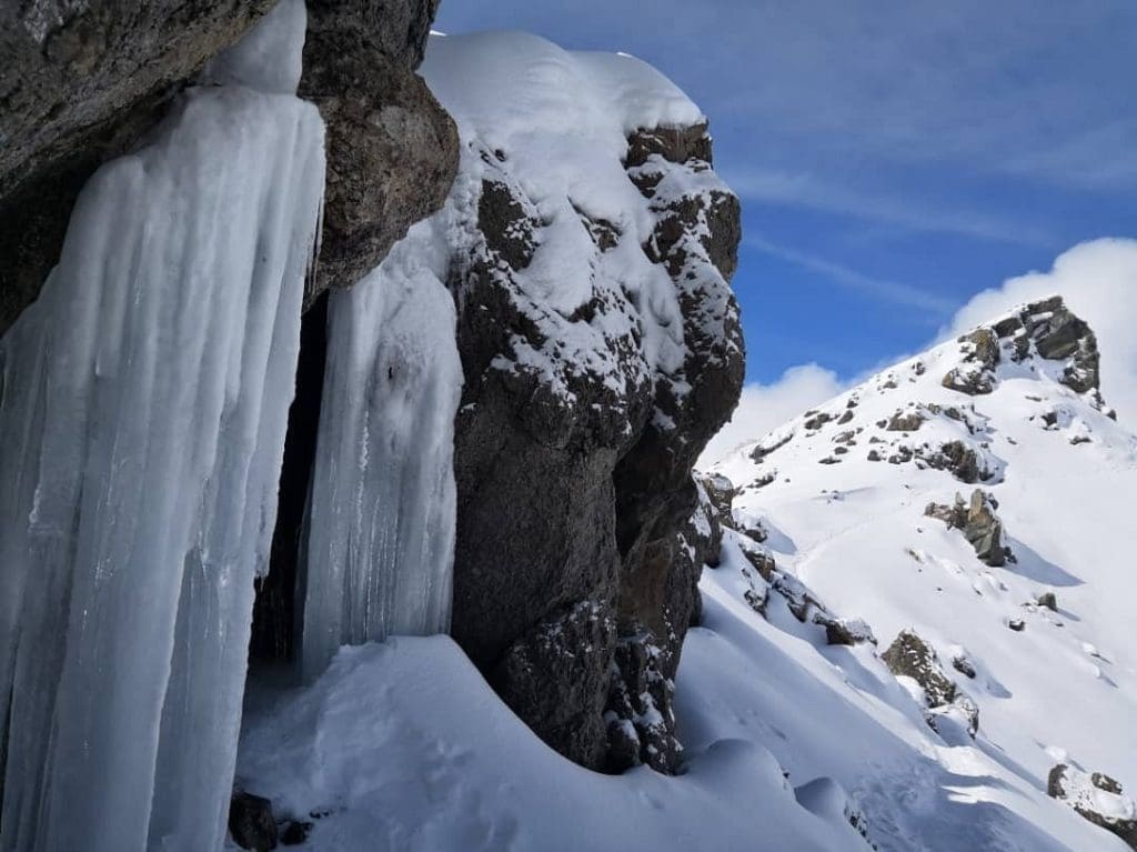 Horombo Hut to Marangu Gate | Return to Moshi