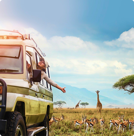 Tanzania Tour Packages