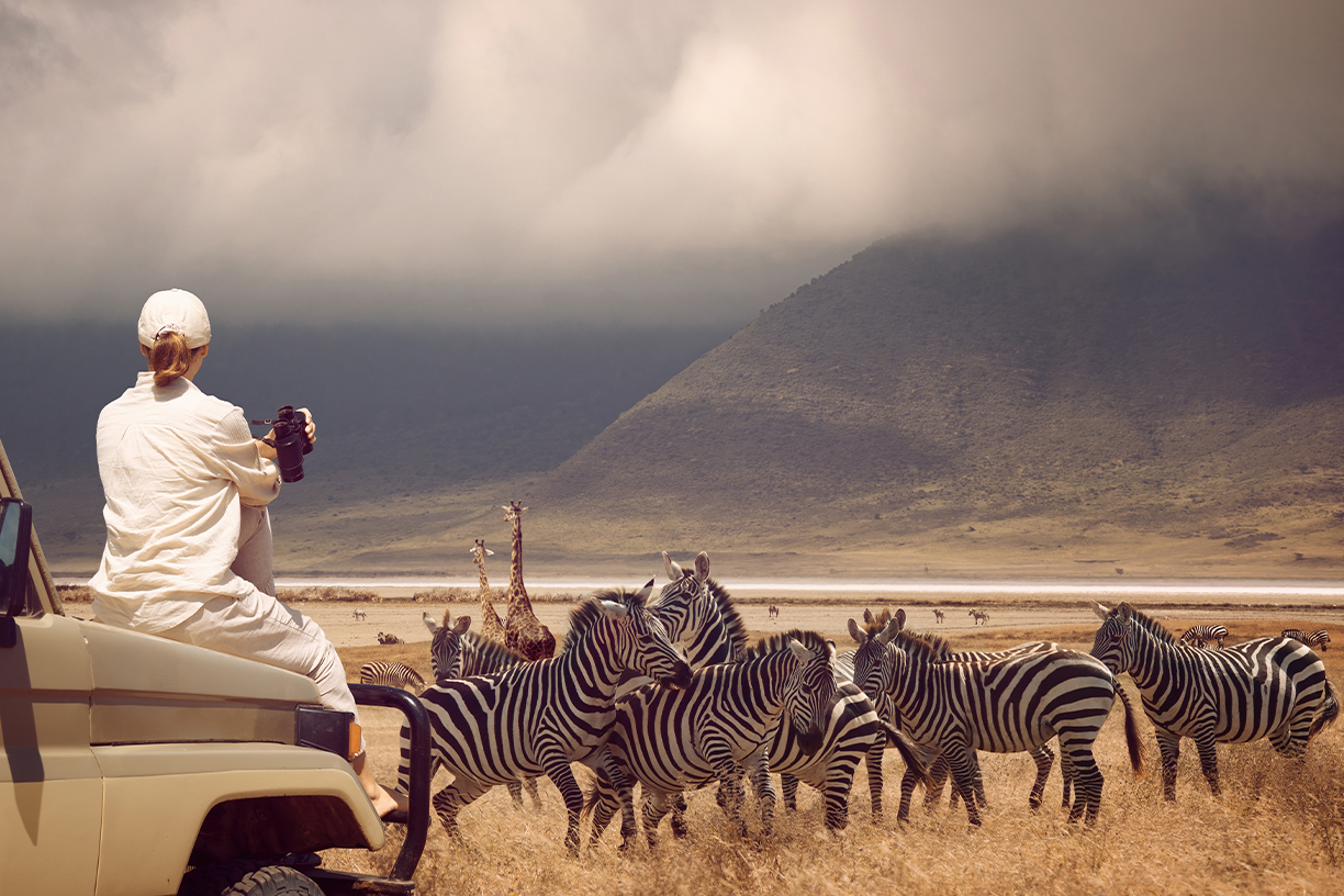 Can senior travellers go on African safaris?