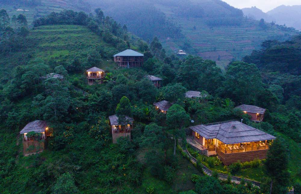 Pickup from Entebbe or Kampala and Transfer to Bwindi Impenetrable Forest