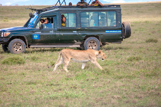 Drive to North Serengeti