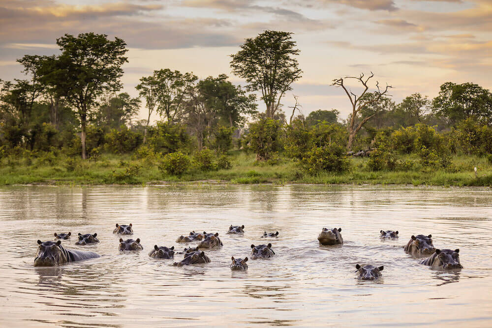 Okavango Delta Adventure