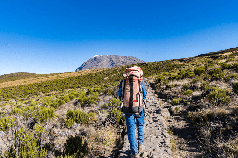 When Is the Best Time to Climb Kilimanjaro?
