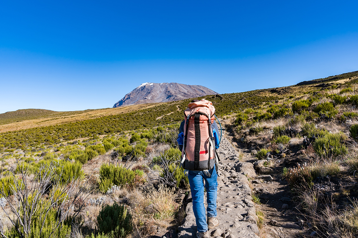 When is the best time to climb Kilimanjaro?