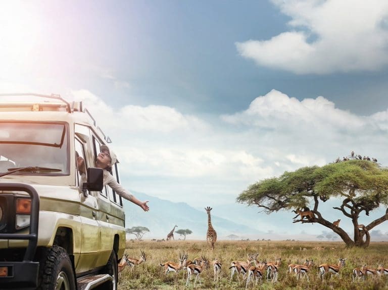 Exploring the Wild: Why Tanzania Safari Tours Are the Ultimate African Adventure