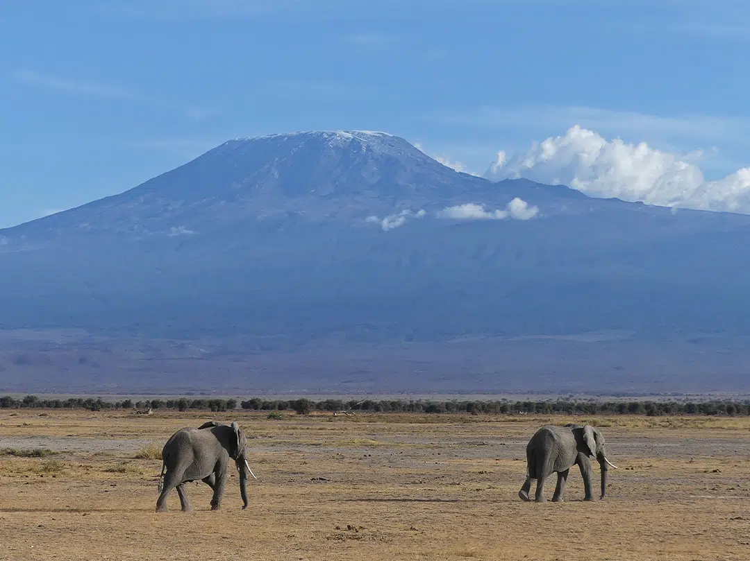 Mount kilimanjaro: 6 facts about the highest mountain in Africa