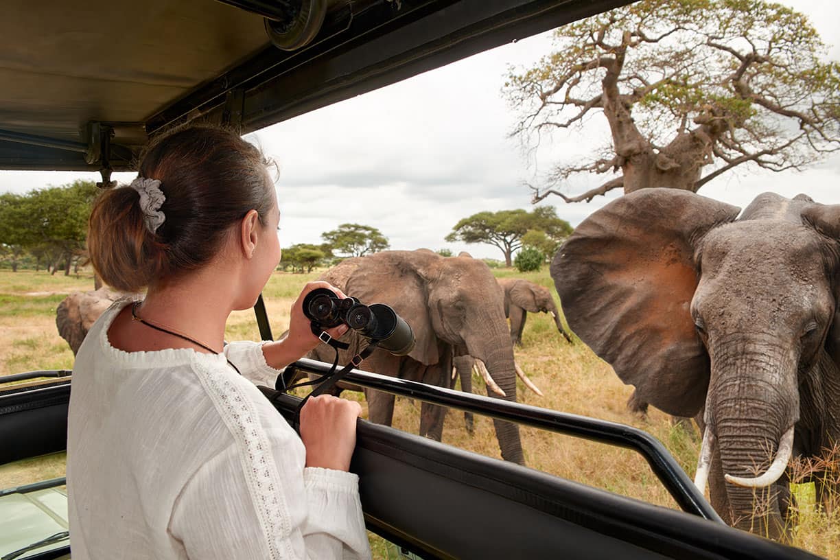 African safari packages: How to choose the perfect Tanzania adventure