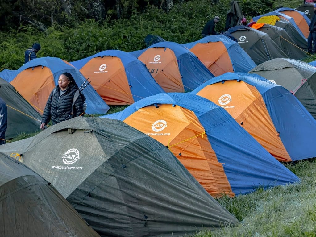 Rows of colorful Zara Tanzania Adventures tents are set up at a Kilimanjaro campsite, with trekkers preparing for the climb.