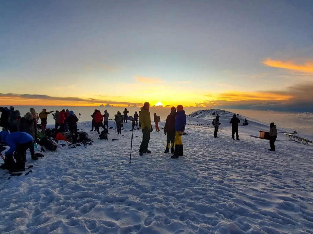 Climbers celebrate reaching the summit of Mount Kilimanjaro at sunrise, standing on the snow-covered peak under a golden sky.