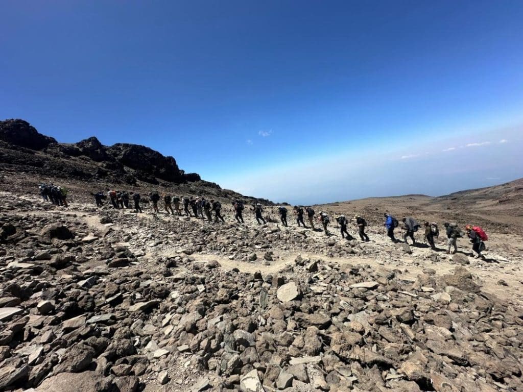 Long line of trekkers hiking across the rocky alpine desert of Mount Kilimanjaro under a clear blue sky.