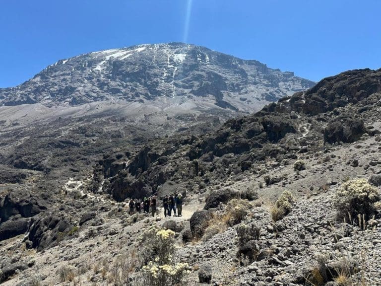 Mount Kilimanjaro Deaths: What Are the Main Causes?