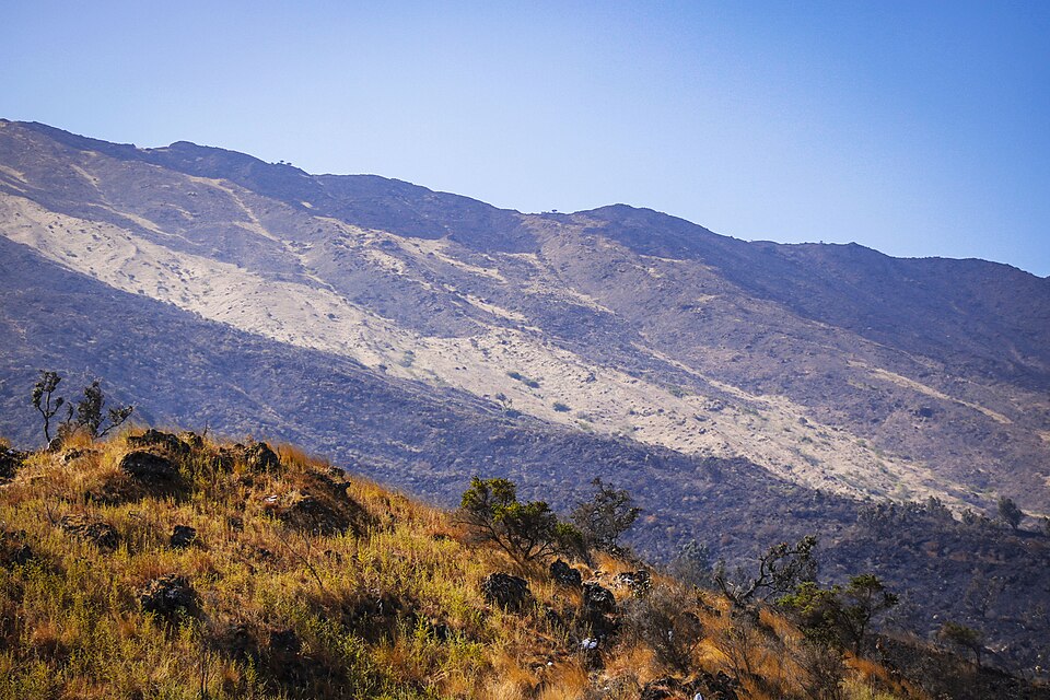 Mount Cameroon is an active volcano known for its steep summit hike