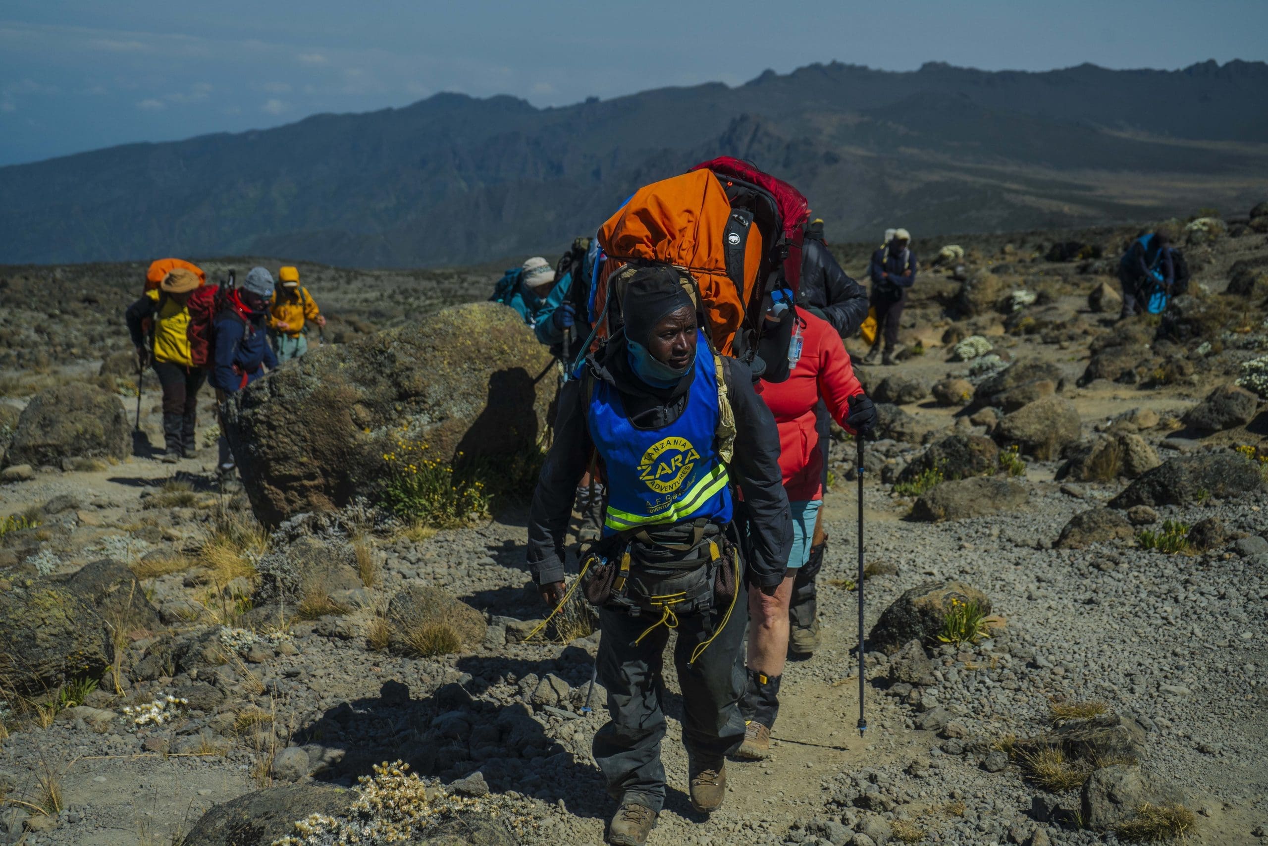 Expert Kilimanjaro guide leading climbers across the rugged alpine desert, showcasing the challenging beauty of Africa’s highest peak.