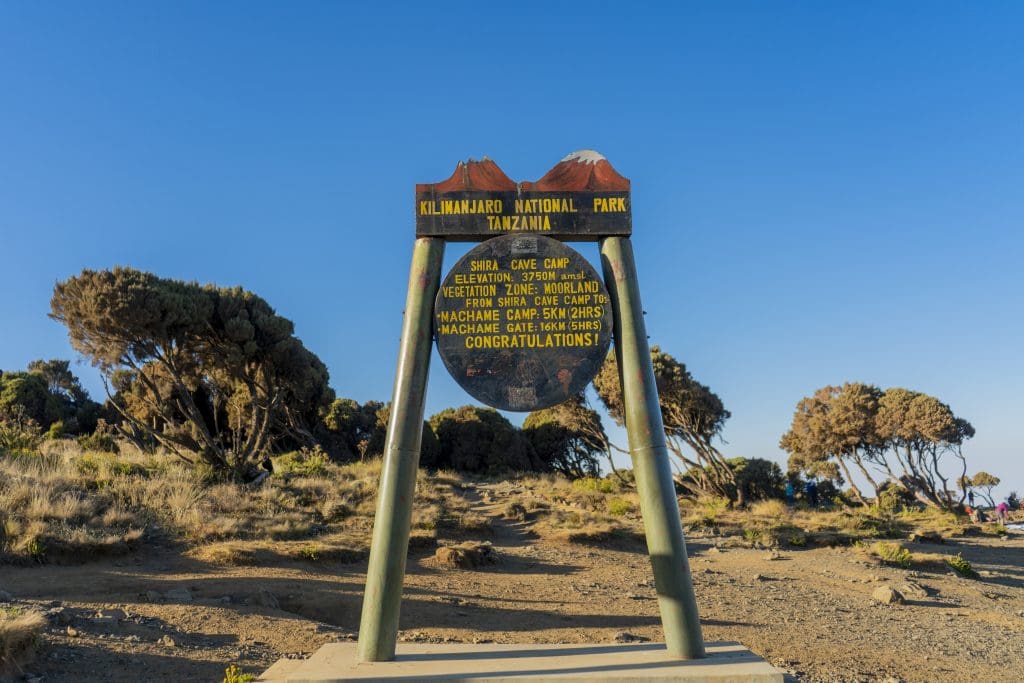A signpost at Shira Cave Camp in Kilimanjaro National Park displaying an elevation of 3,750 meters, located in the moorland zone along the Machame Route.
