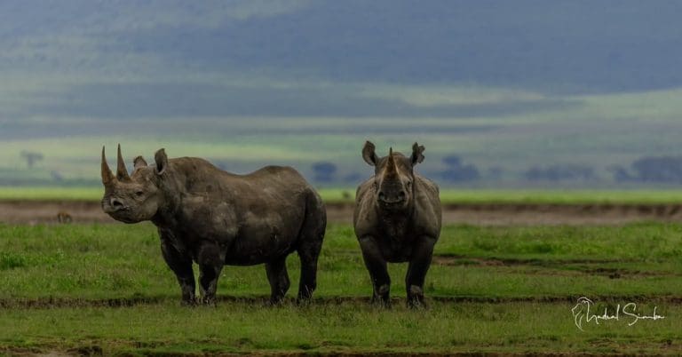 Top 12 Best Places To Visit in Tanzania