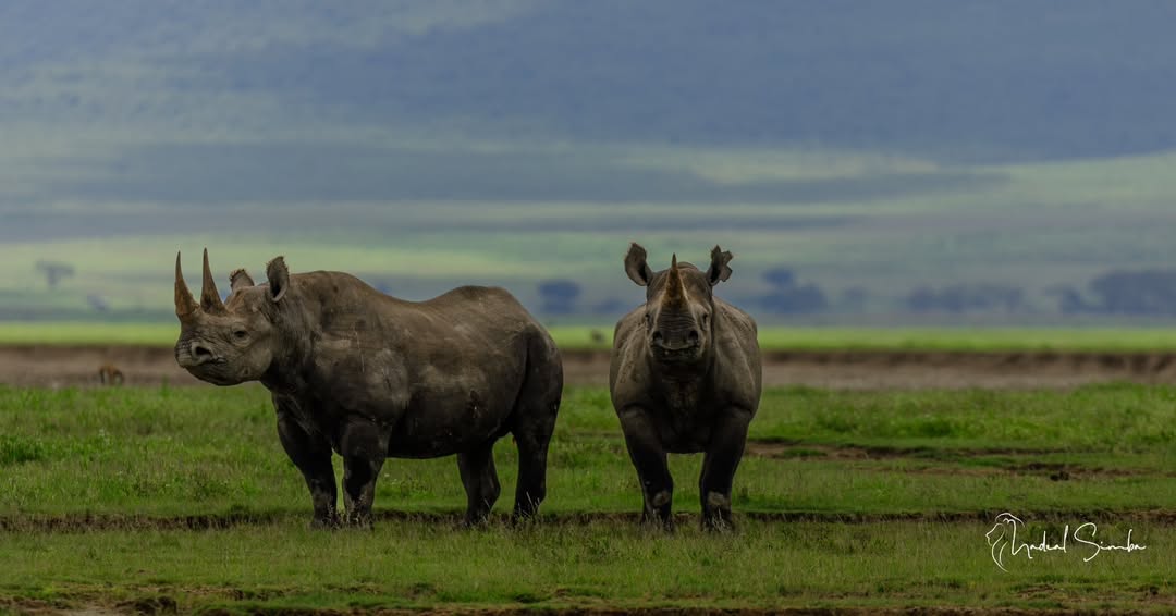 Top 12 Best Places to Visit in Tanzania