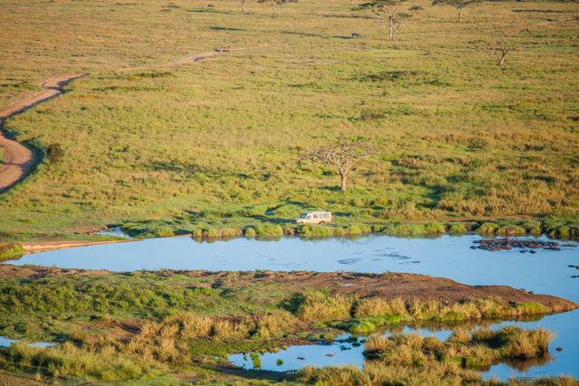 A serene waterhole surrounded by open grasslands in the Serengeti during golden morning light.