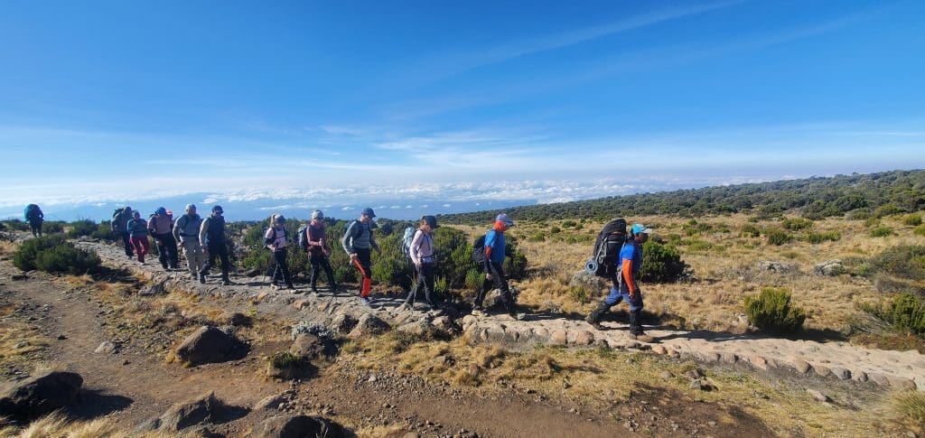 Trekkers hiking slowly across Mount Kilimanjaro’s high-altitude trail under clear skies, practicing proper pacing to prevent altitude sickness.