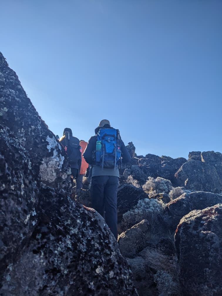Climbers hiking uphill through rocky alpine terrain on Mount Kilimanjaro during the ascent.