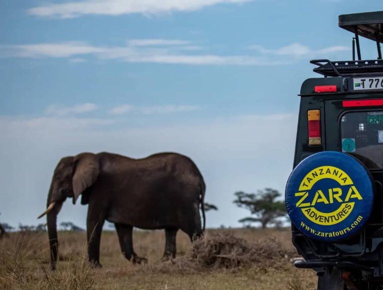 What Is The Serengeti National Park Famous For?