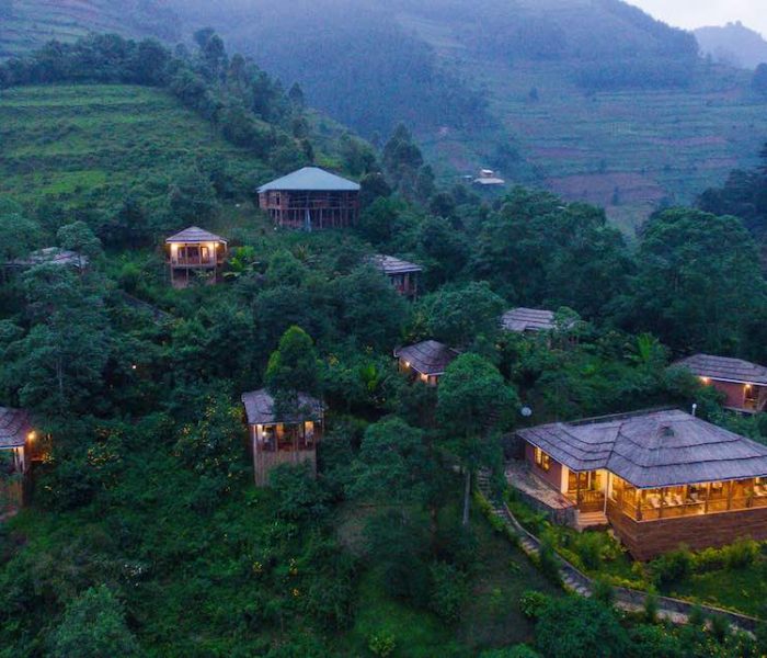 Pickup from Entebbe or Kampala and Transfer to Bwindi Impenetrable Forest