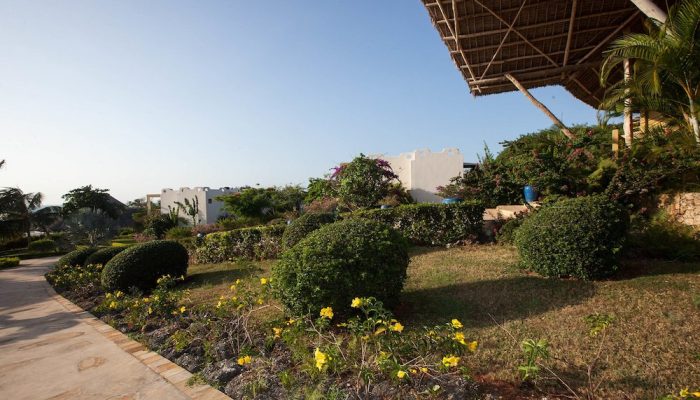 Gold Zanzibar garden