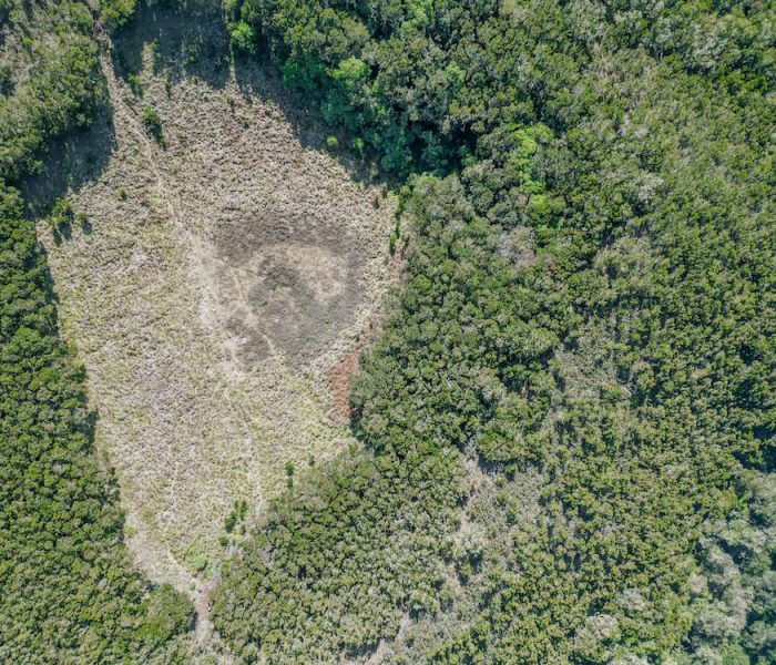 Mandara hut day trip_18