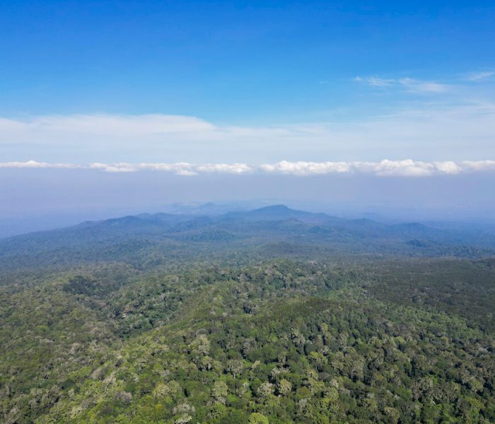 Mandara hut day trip_19