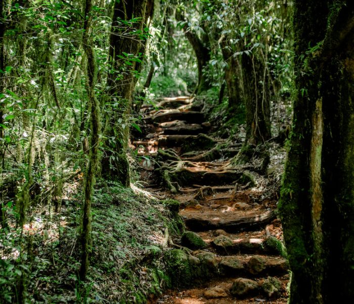 Mandara hut day trip_5