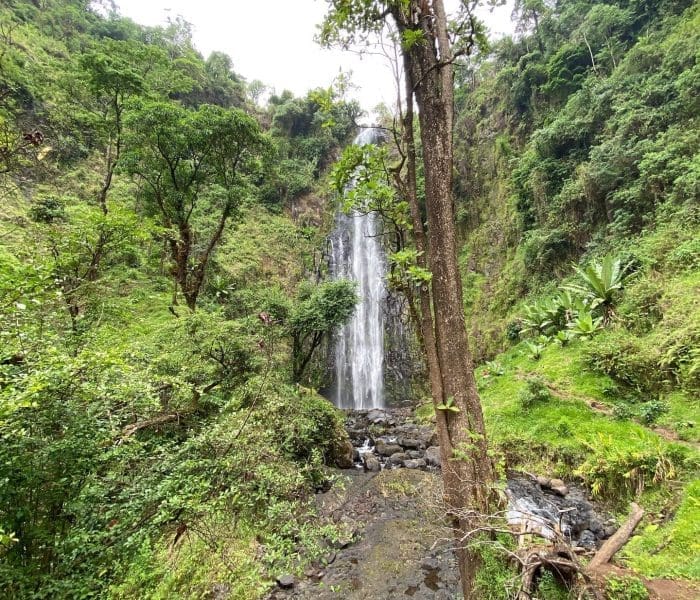 Materuni waterfall day tour zara