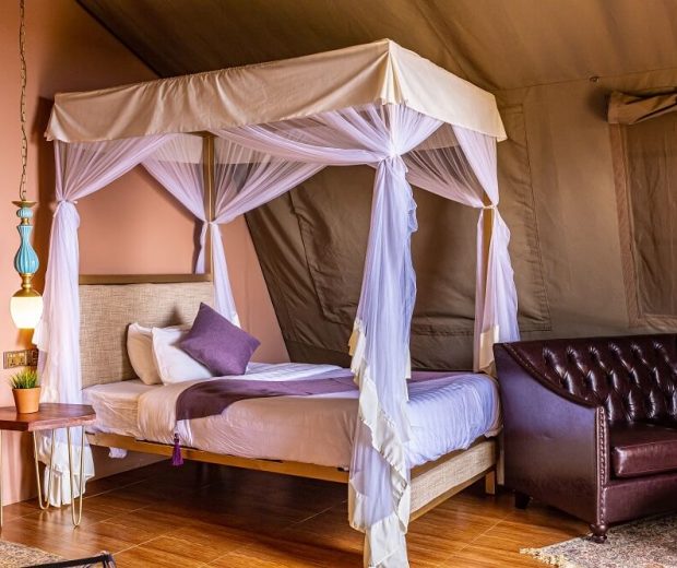 Ngorongoro Safari Lodge3