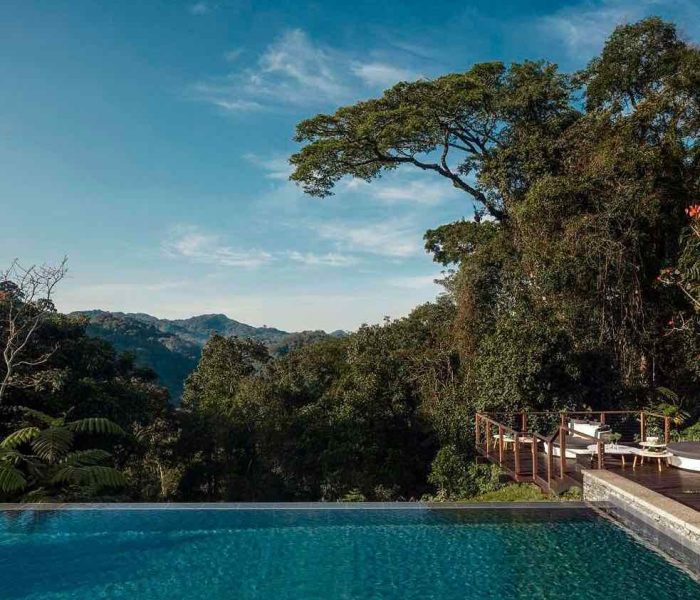 One & Only Nyungwe House1