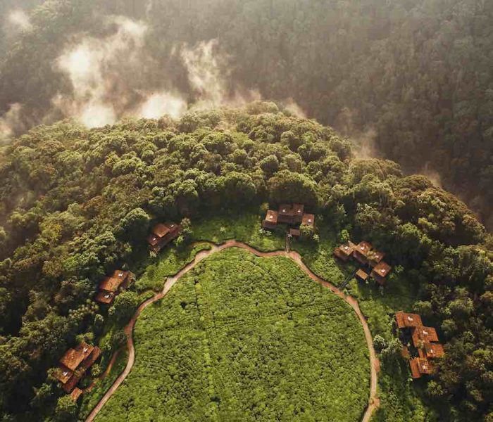 One & Only Nyungwe House5 copy