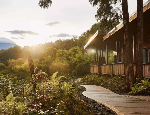 One&Only Gorilla’s Nest