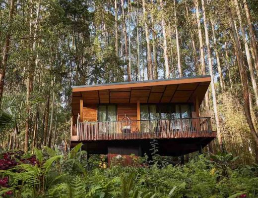 One&Only Gorilla’s Nest11