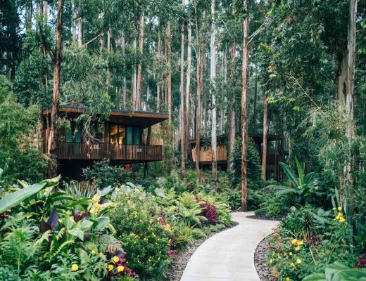 One&Only Gorilla’s Nest3