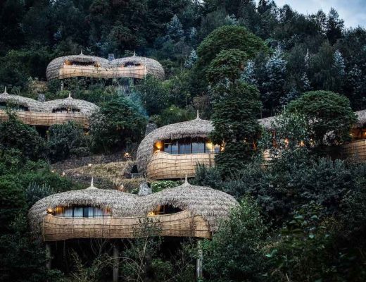 One&Only Gorilla’s Nest44