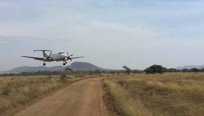 Serengeti Flying Safari