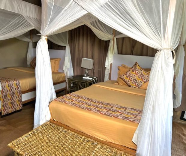 Serengeti Wild Camp3
