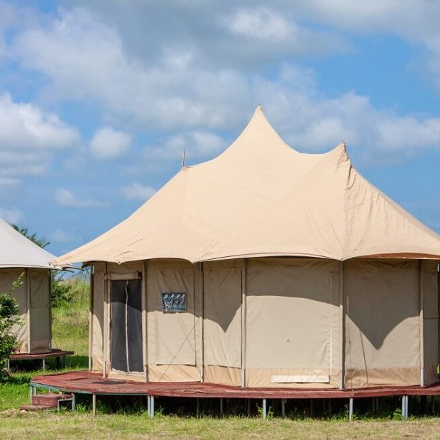 Serengeti Wildebeest Camp1