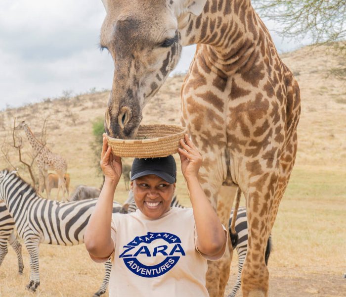 Serval wildlife day trip_18