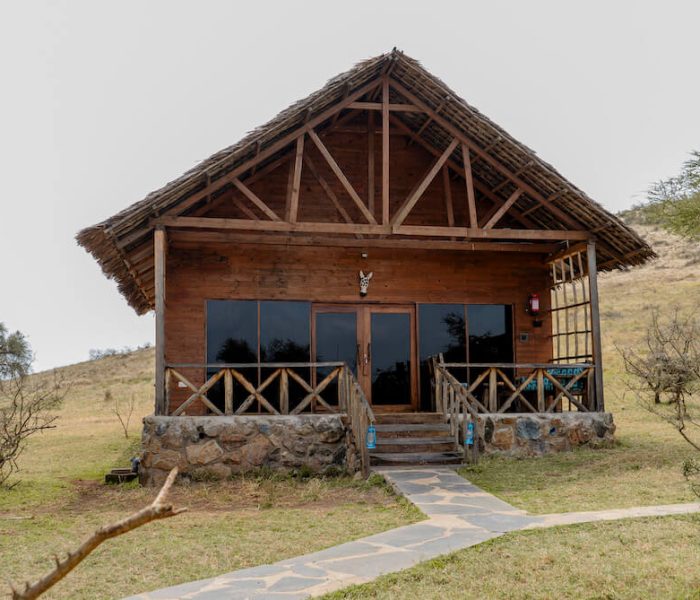 Serval wildlife day trip_3