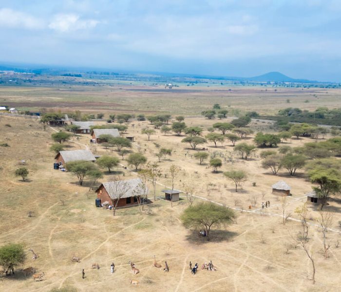 Serval wildlife day trip_46