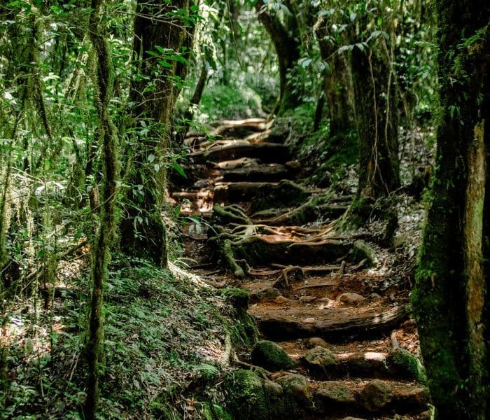 mandara huts gallery 3