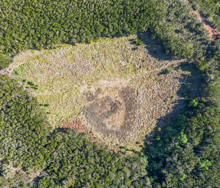 mandara huts gallery